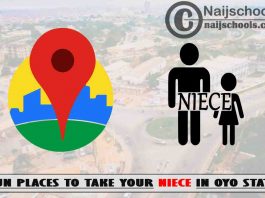 13 Fun Places to Take Your Niece in Oyo State Nigeria