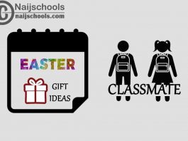 Buy these Easter Gifts for Your Classmate: Best 15 Options