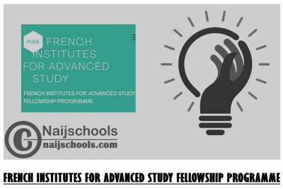 French Institutes for Advanced Study Fellowship Programme 2024/2025