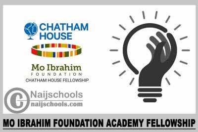Mo Ibrahim Foundation Academy Fellowship 2024