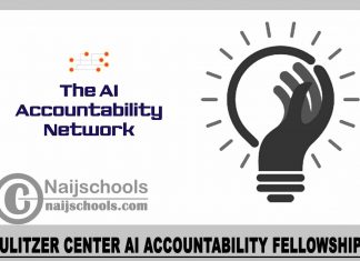 Pulitzer Center AI Accountability Fellowships 2023