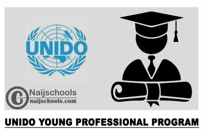 UNIDO Young Professional Program