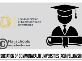Association of Commonwealth Universities (ACU) Fellowships 2023