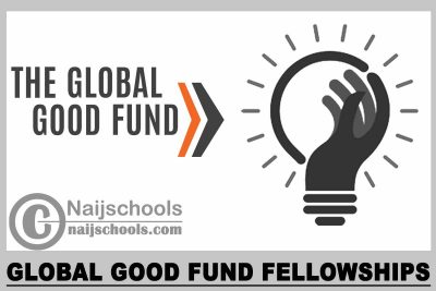 Global Good Fund Fellowships 2024
