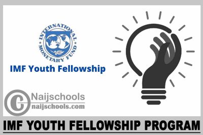 IMF Youth Fellowship Program 2023