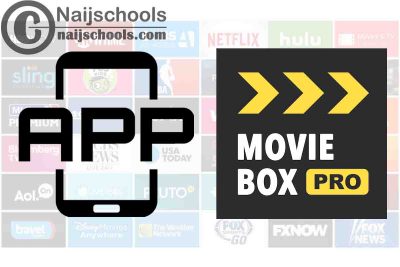 Movie Box Pro; Ultimate Streaming Solution for Movie Lovers