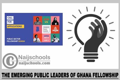 The Emerging Public Leaders of Ghana Fellowship 2023
