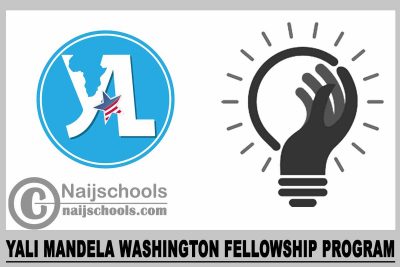YALI Mandela Washington Fellowship Program 2024