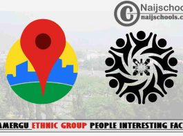 13 Interesting Facts About The People Of Gamergu Ethnic Group