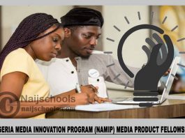 Nigeria Media Innovation Program (NAMIP) Media Product Fellowship 2023