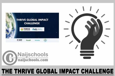 The THRIVE Global Impact Challenge 2023