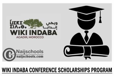 Wiki Indaba Conference 2023 Scholarships Program