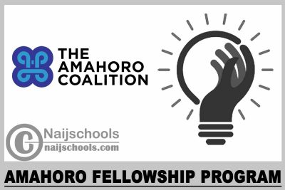Amahoro Fellowship Program