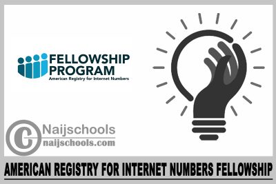 American Registry for Internet Numbers Fellowship