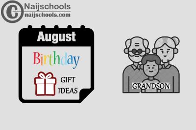 15 August Birthday Gifts to Buy for Your Grandson in 2023