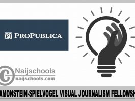 Diamonstein-Spielvogel Visual Journalism Fellowship 2023