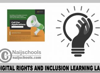 Digital Rights and Inclusion Learning Lab 2023