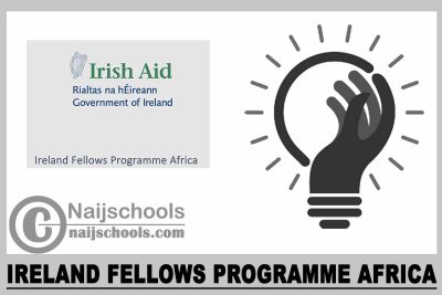Ireland Fellows Programme Africa 2023