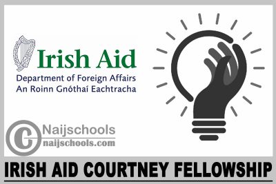 Irish Aid Courtney Fellowship 2024
