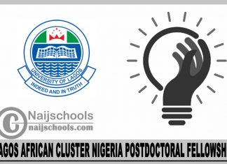 Lagos African cluster Nigeria Postdoctoral Fellowship 2024