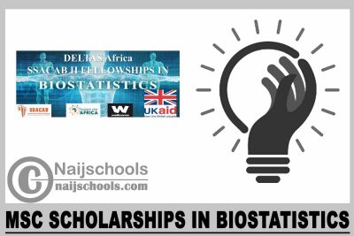 MSc Scholarships in Biostatistics 2024