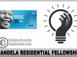 Mandela Residential Fellowship 2023