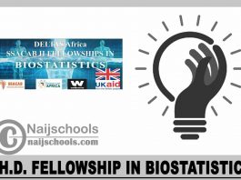 Ph.D. Fellowship in Biostatistics