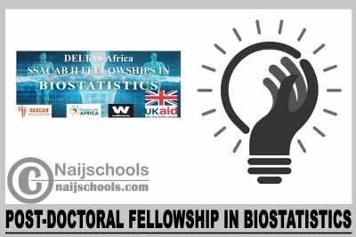 Post-Doctoral Fellowship in Biostatistics 2024