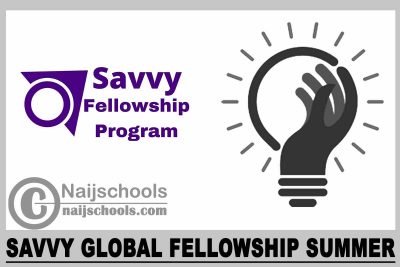 Savvy Global Fellowship Summer 2023