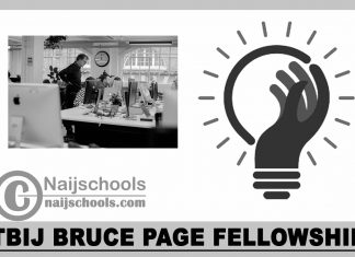 TBIJ Bruce Page Fellowship