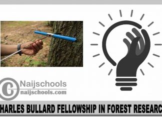 Charles Bullard Fellowship in Forest Research