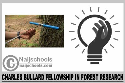 Charles Bullard Fellowship in Forest Research