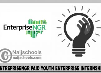 EntrepriseNGR Paid Youth Enterprise Internship