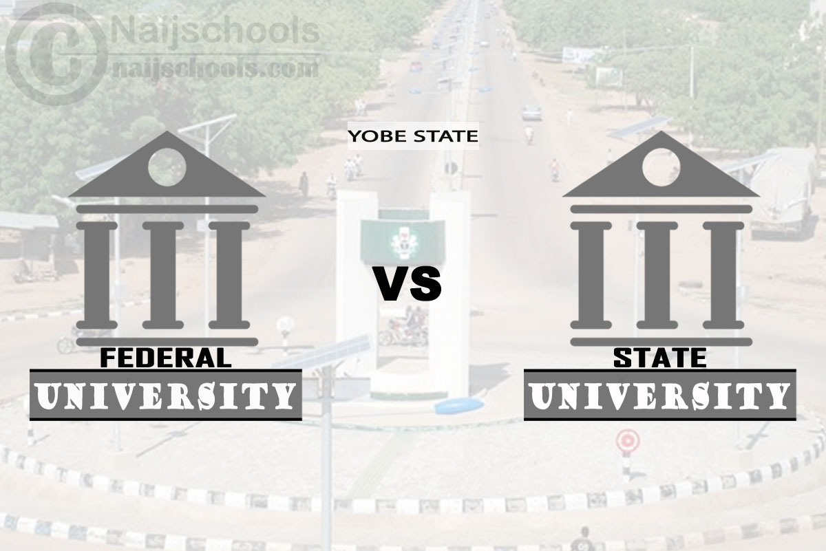 Yobe Federal vs State University; Which is Better? Check! 