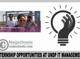 Internship Opportunities at UNDP IT Management