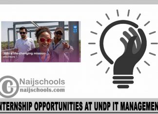 Internship Opportunities at UNDP IT Management