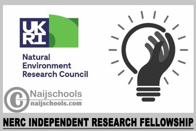NERC Independent Research Fellowship 2023