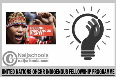 OHCHR Indigenous Fellowship Programme