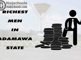 Richest Men in Adamawa State this Year; Top 13