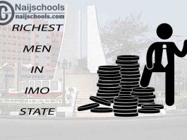 Top 13 Richest Men in Imo State Nigeria 2023/2024