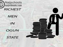 Top 13 Richest Men in Ogun State Nigeria 2023/2024