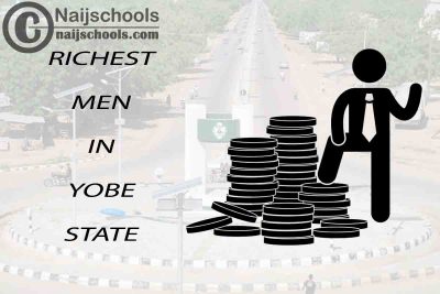 Top 13 Richest Men in Yobe State Nigeria 2023/2024