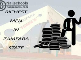 Top 13 Richest Men in Zamfara State Nigeria 2023/2024