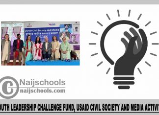 Youth Leadership Challenge Fund, USAID Civil Society and Media Activity