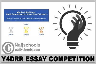 Y4DRR Essay Competition