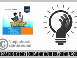Access/NerdzFactory Foundation Youth Transition Program