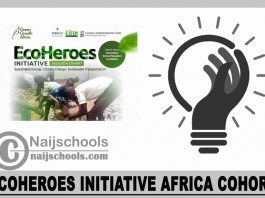EcoHeroes Initiative 2023/2024 Africa Cohort