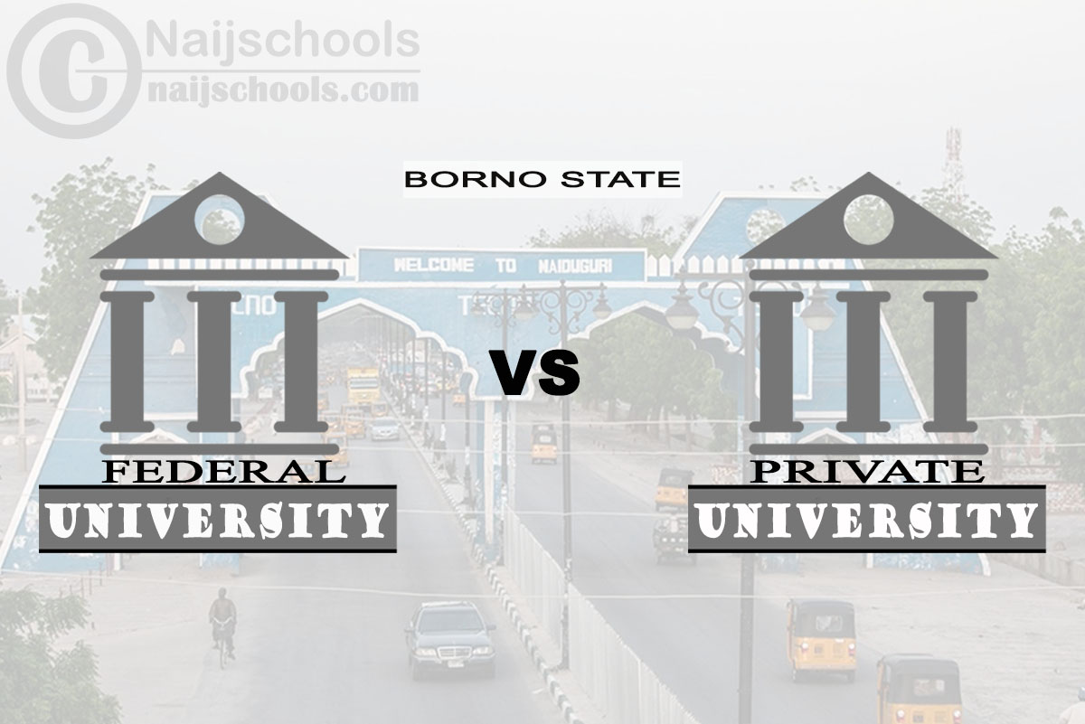 Borno Federal vs Private University; Which is Better? Check!