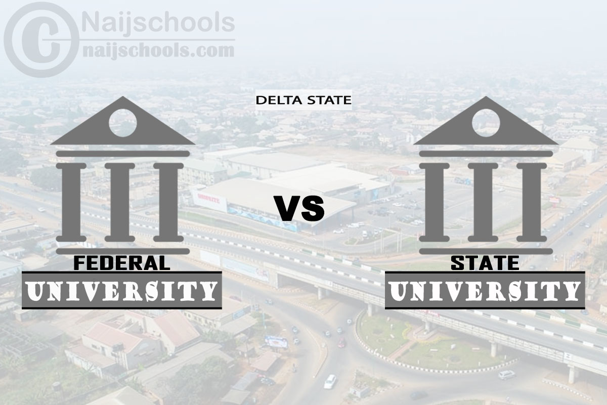 Delta Federal vs State University; Which is Better? Check!