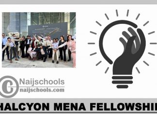 Halcyon MENA Fellowship 2024